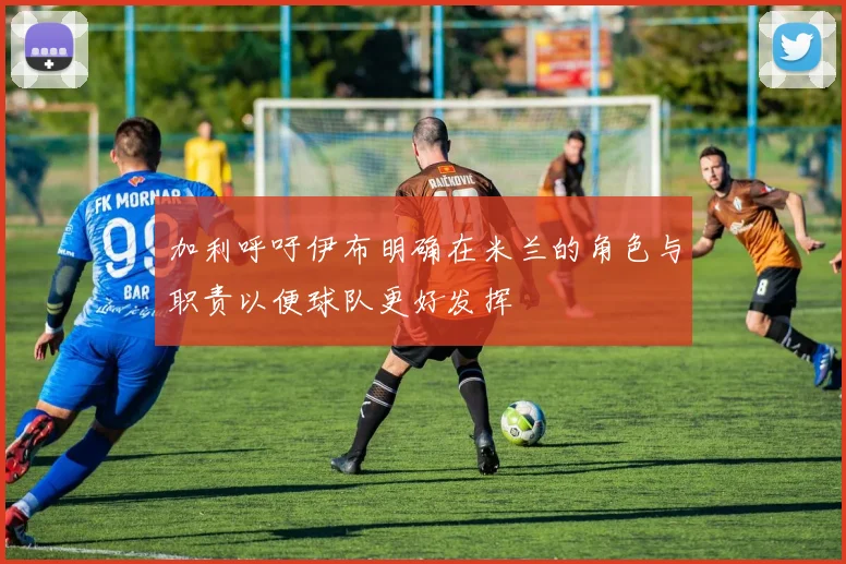加利呼吁伊布明确在米兰的角色与职责以便球队更好发挥