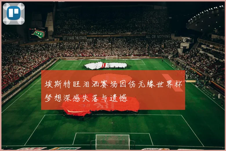 埃斯特旺泪洒赛场因伤无缘世界杯梦想深感失落与遗憾