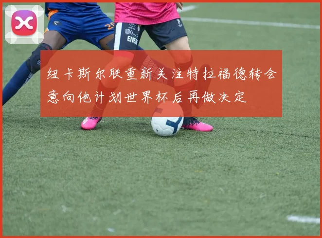 纽卡斯尔联重新关注特拉福德转会意向他计划世界杯后再做决定